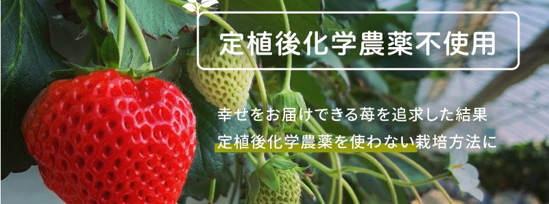 ���C�Ȃ�����ɍK���� �V�����Y �z��P 䕂̉Ԃ��Ƃ�


���T�C�g